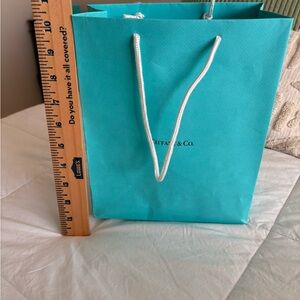 Tiffany & Co. Blue Paper Bag with Rope Handles